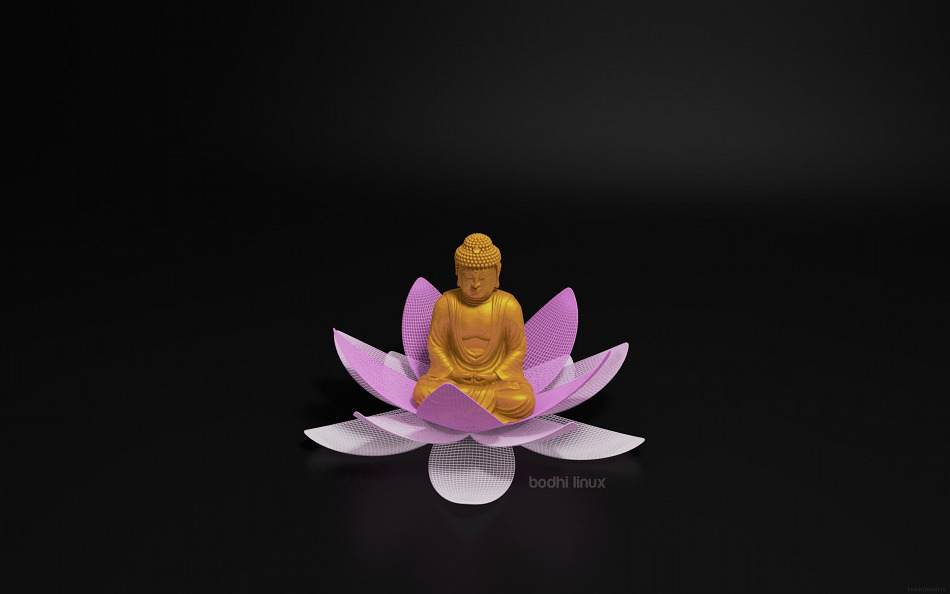Wallpaper Bodhi Lotus