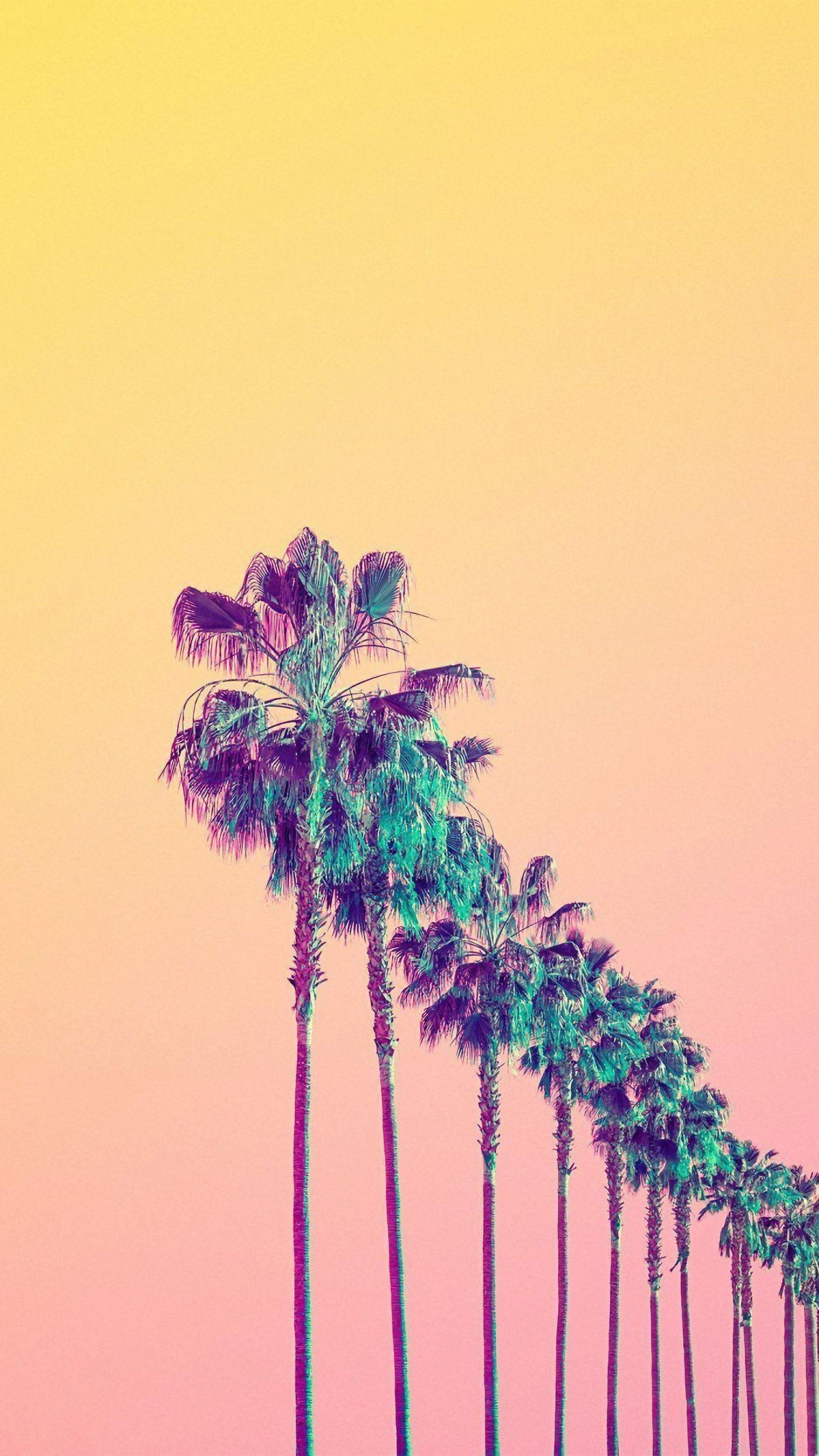 California Aesthetic Wallpaper