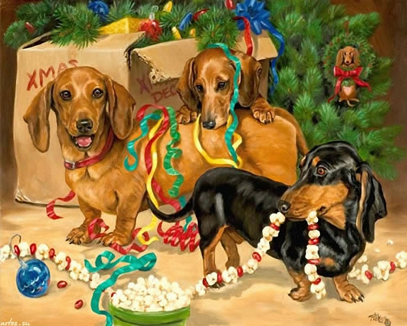 Animals Box Dogs At Christmas HD Desktop Wallpaper