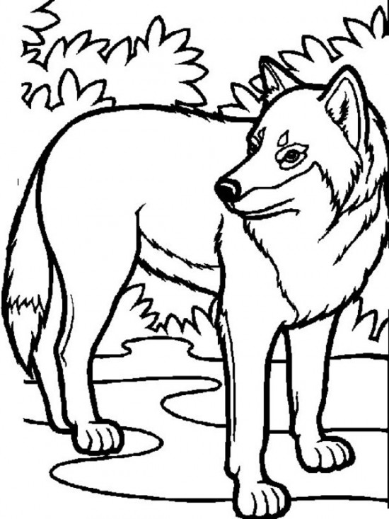 For Kids Please See The Wolf Coloring S And Print Immediately