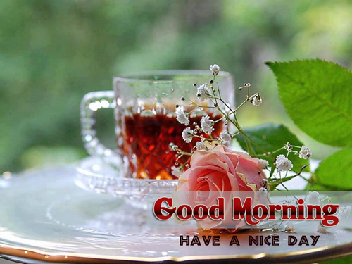 Coffee Cup Good Morning Sms Have A Nice Day Wallpaper