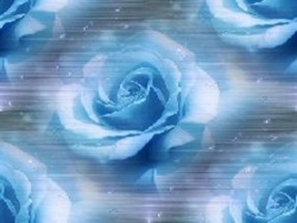 Blue Silver Roses Abstract Flowers Petals