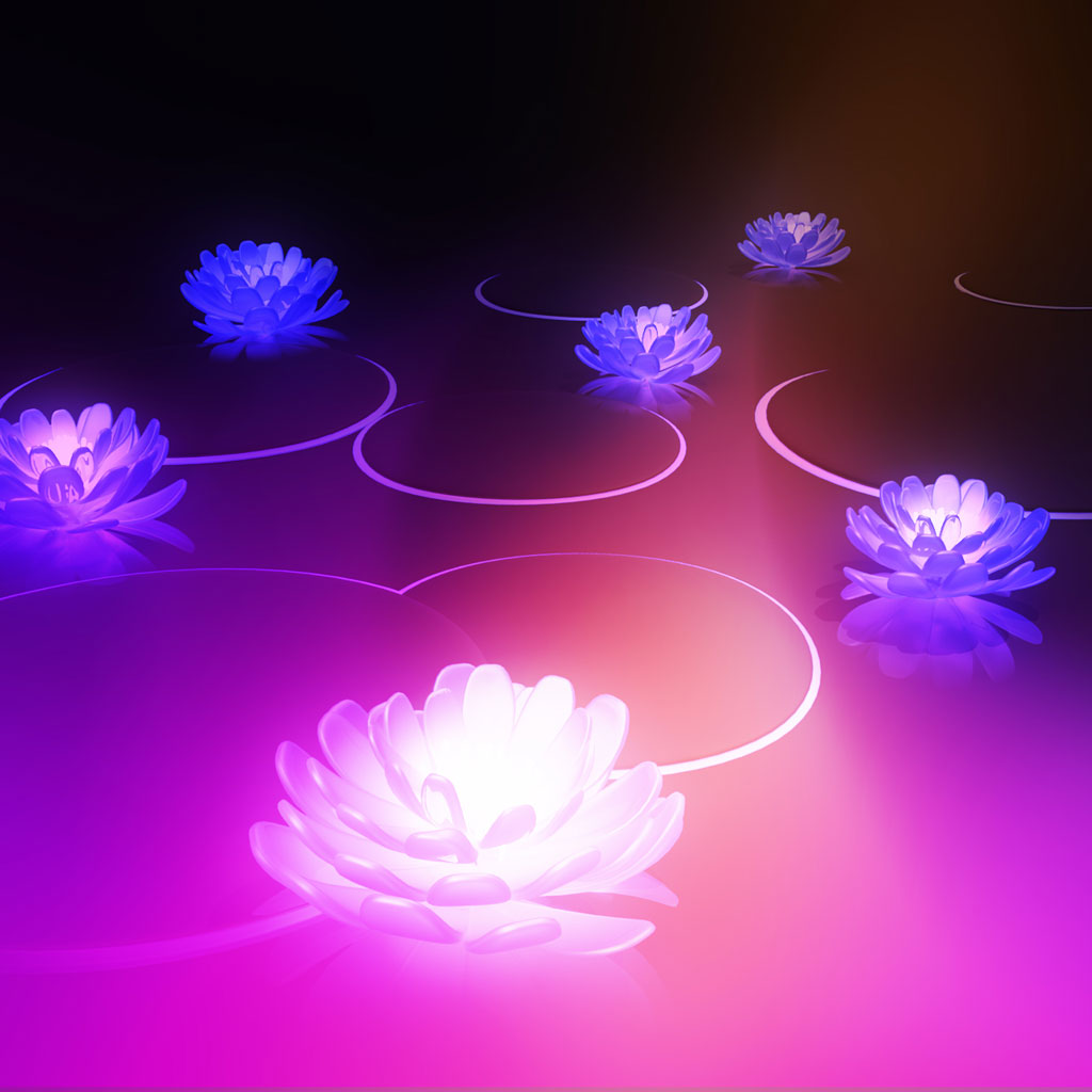 Free Download View And Browse Free Lotus Flower Desktop Wallpapers And