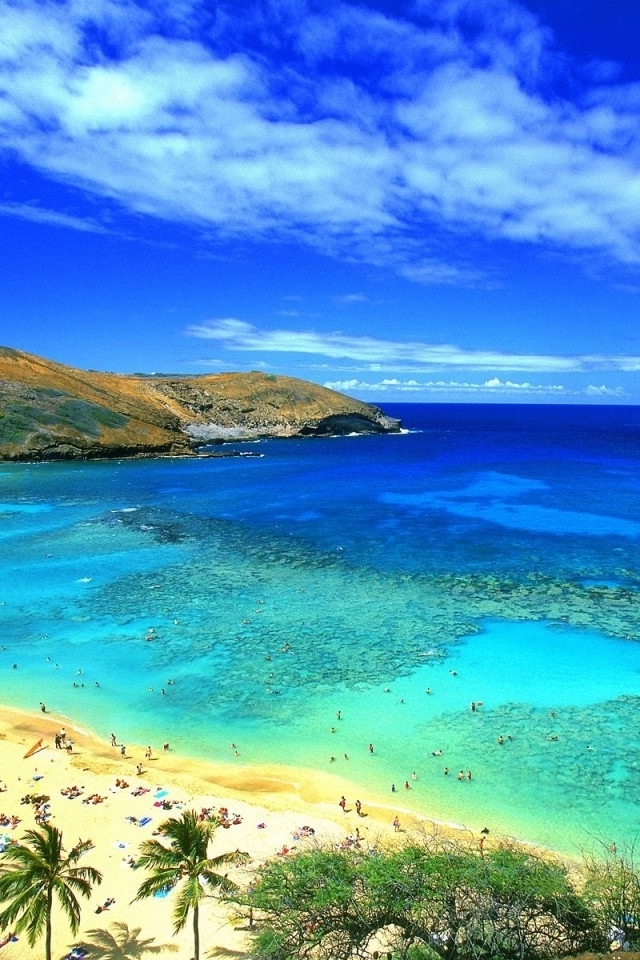 Hawaii Beach iPhone HD Wallpaper