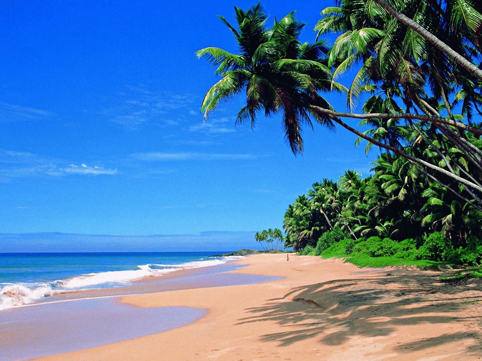 Goa Most Beautiful Beaches Wallpaper Pictures