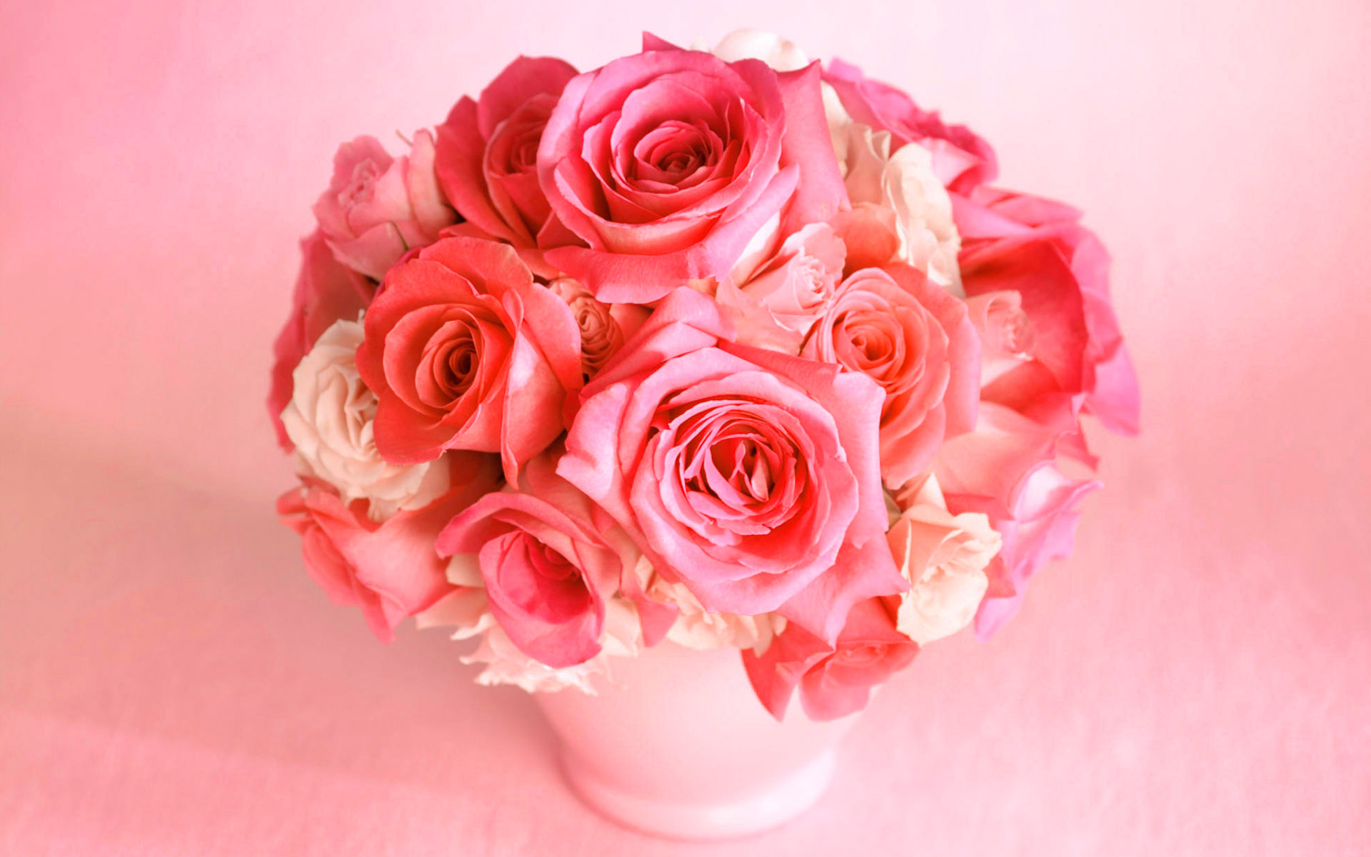 Pink Roses Flowers Wallpaper