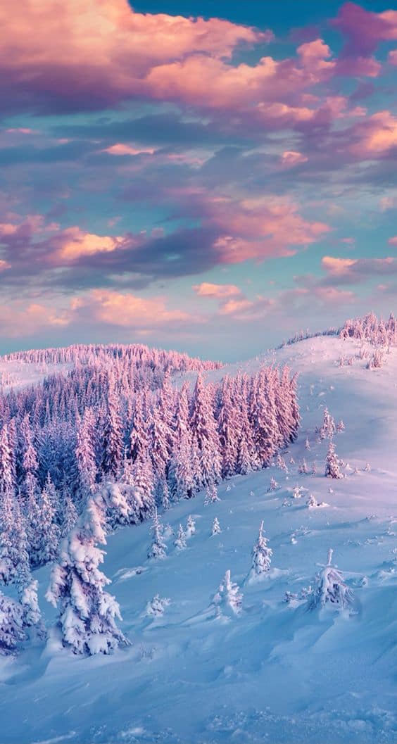 Snow iPhone Wallpaper