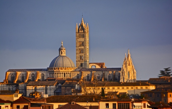 Wallpaper Siena Italy The Cathedral Duomo Dome Tower House