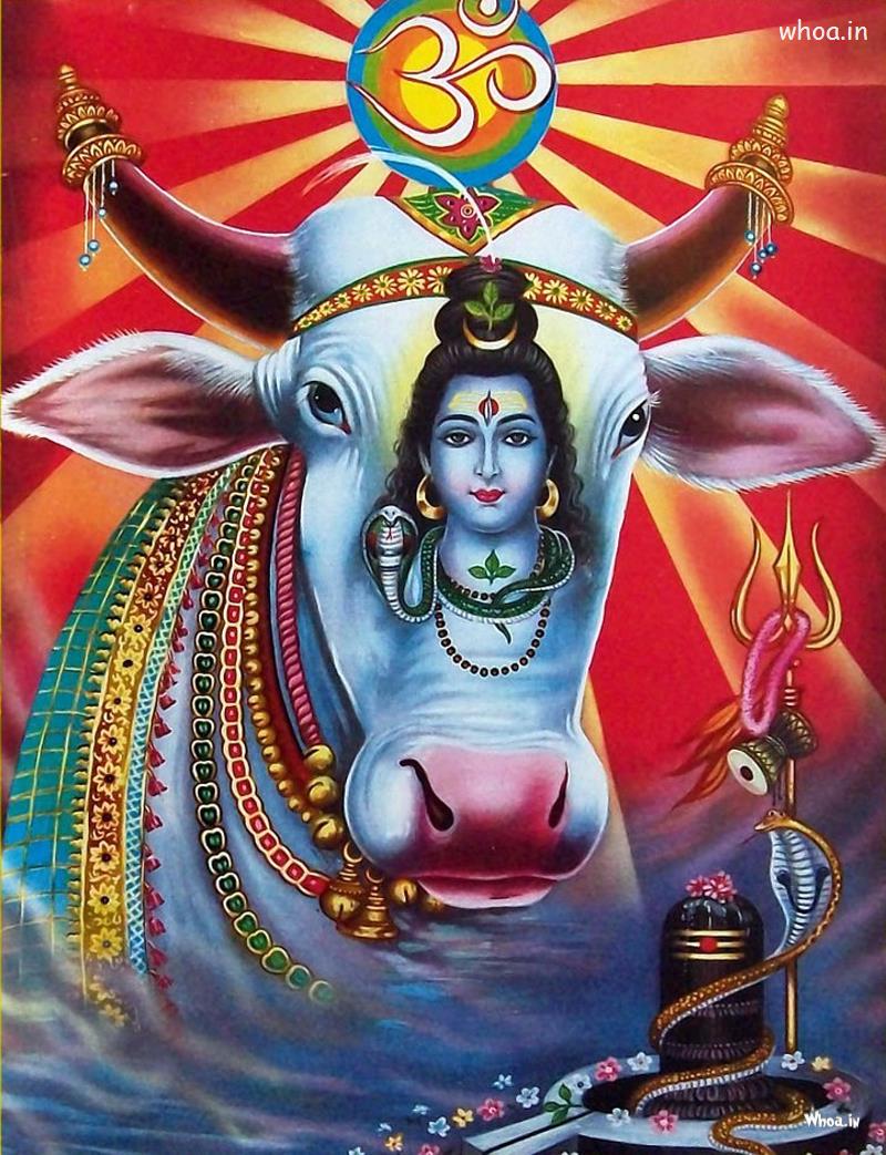 Free download lord shiva hd wallpaper free download7 Lord Shiva ...