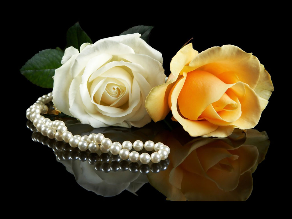 Pearls With Flowers Wallpaper HD