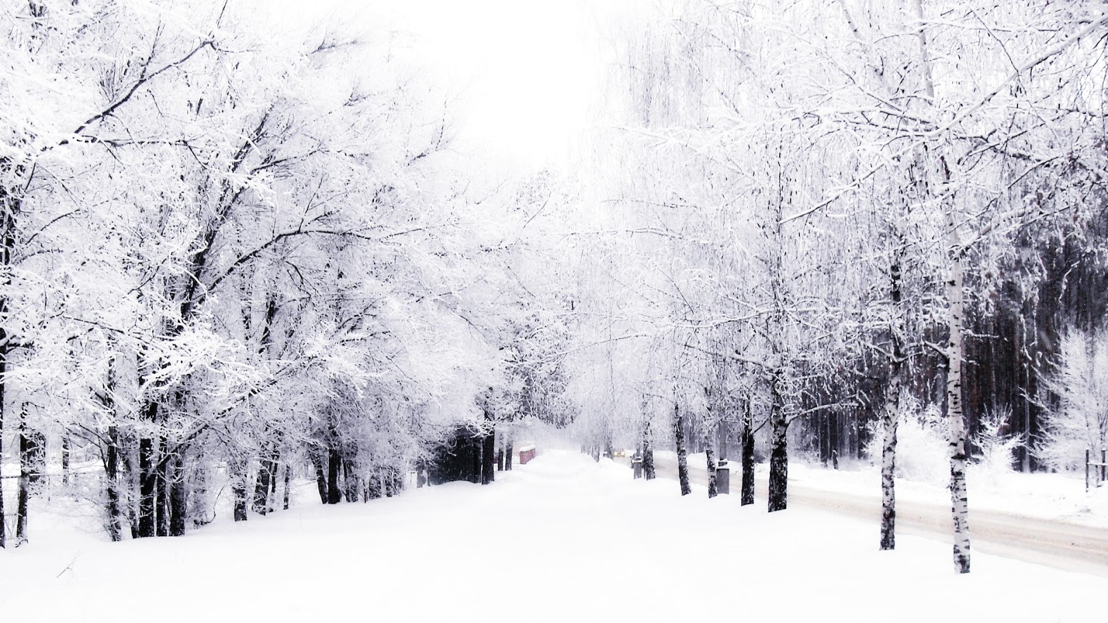 These Pictures Makes Me Want A Nice Toasty Warm Hot Chocolate Yum