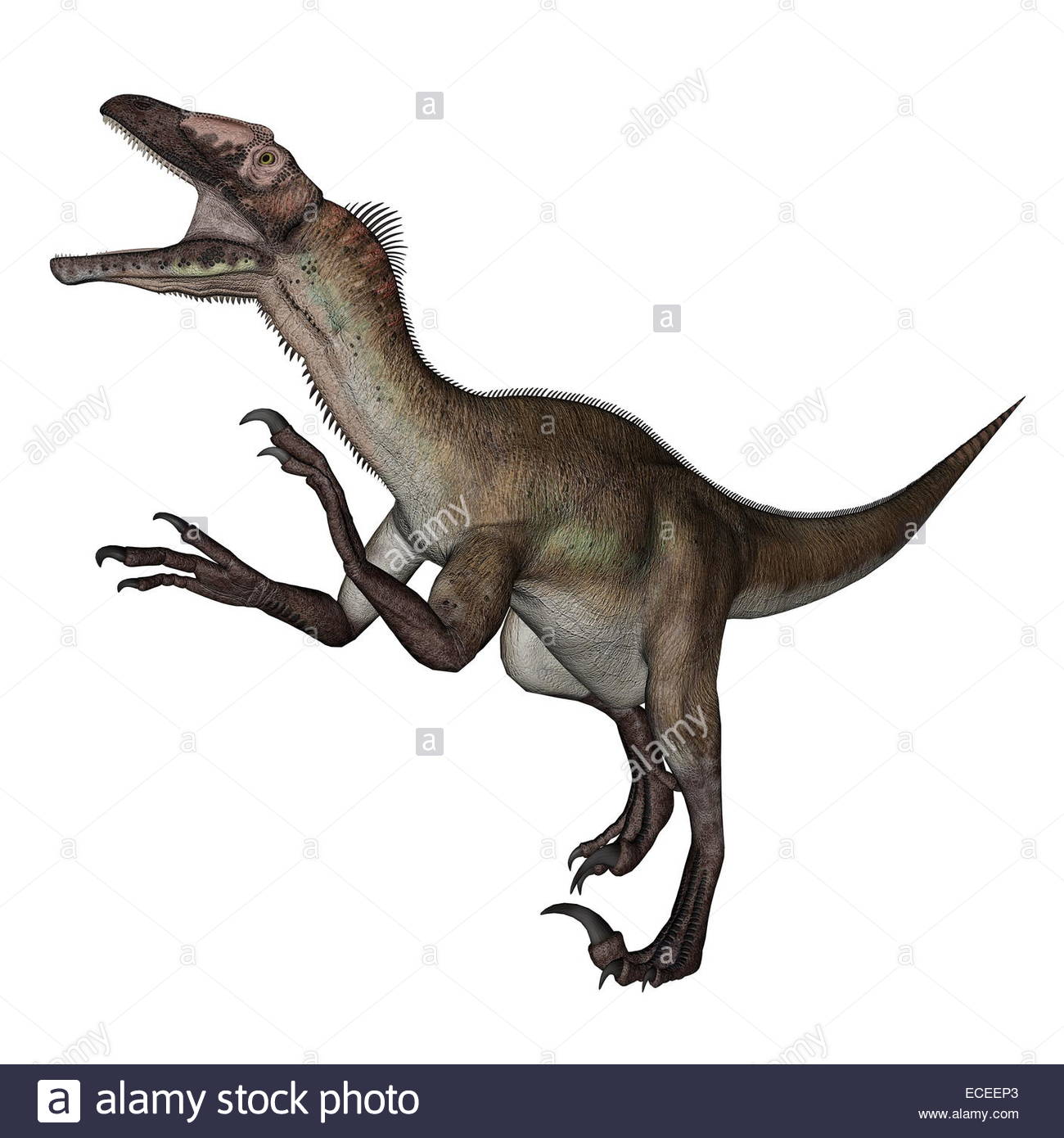 [53+] Utahraptor Backgrounds | WallpaperSafari
