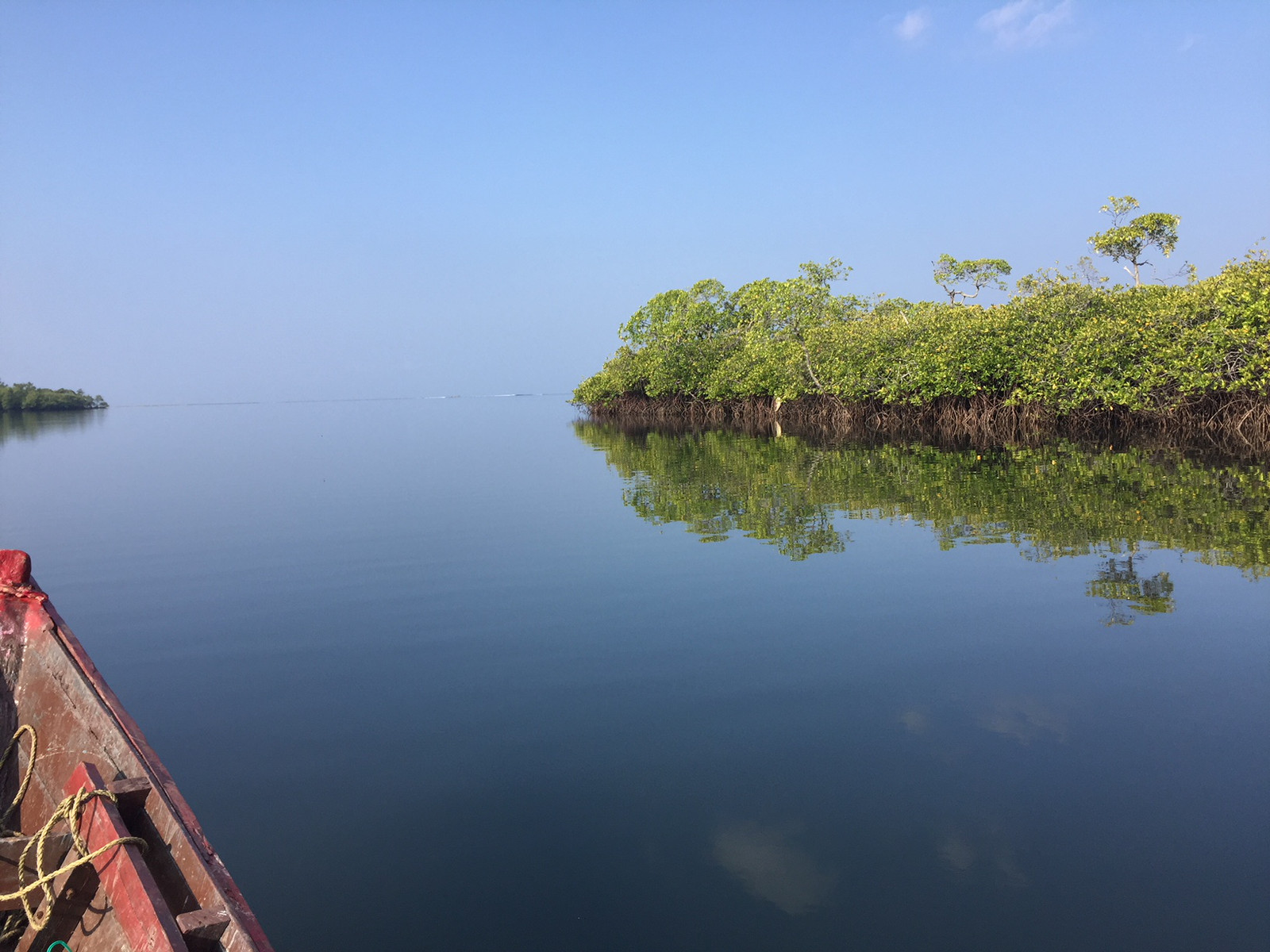 Kyaking Through Mangroves To The Sea
