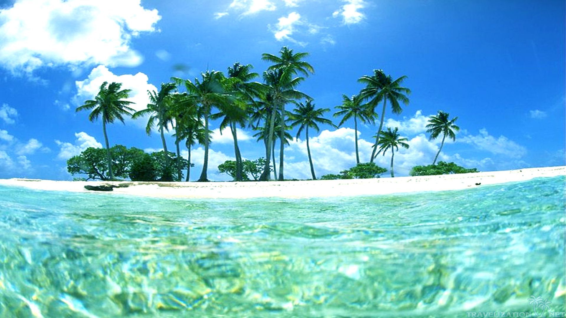 Bức ảnh nền hòa trộn giữa những hòn đảo nhiệt đới nổi tiếng với hình ảnh vườn cọ hay những bãi biển đầy nắng sẽ cho bạn một trải nghiệm đầy màu sắc. Đây thực sự là một lựa chọn tuyệt vời để giúp bạn thư giãn và bắt đầu một ngày mới tràn đầy năng lượng.