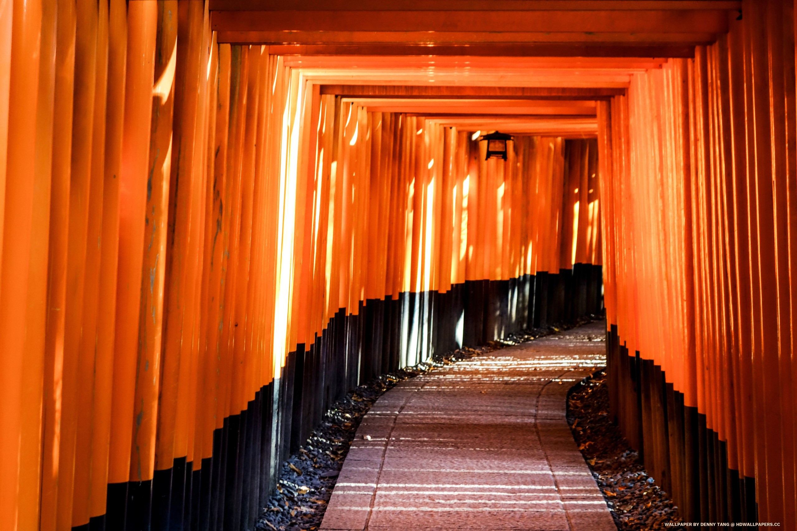 Fushimi Inari Taisha HD Wallpaper