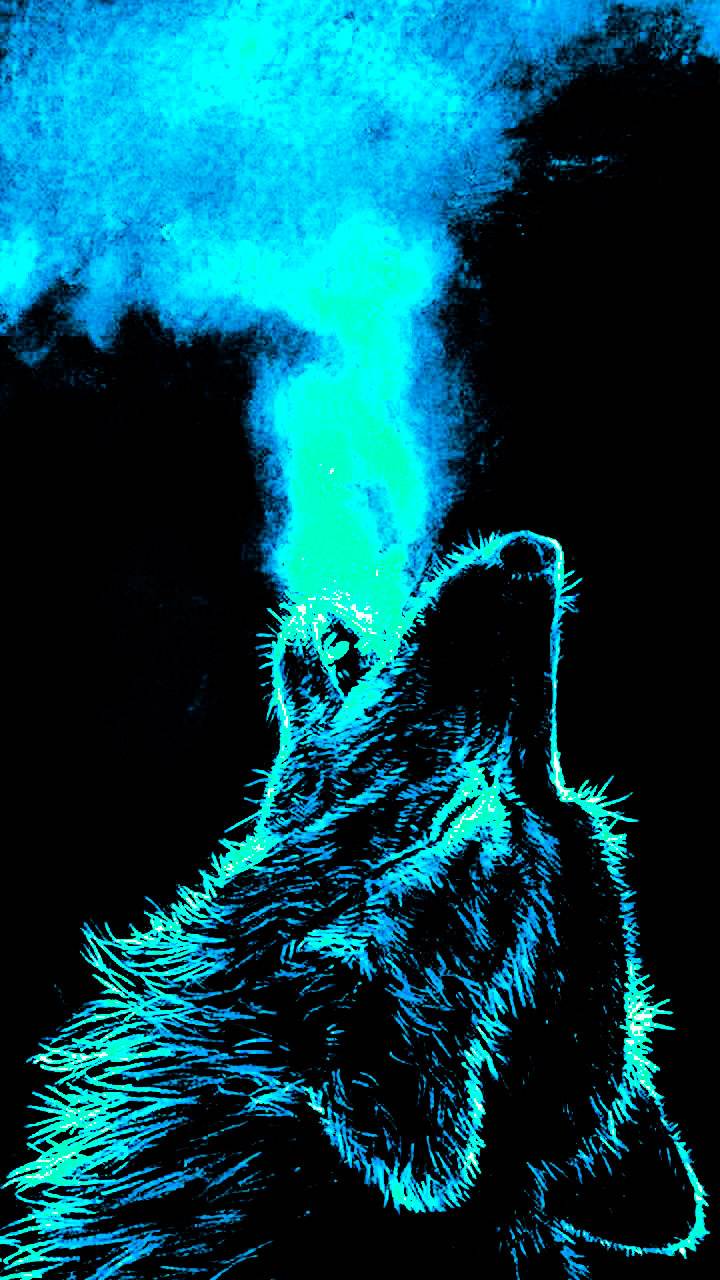 iPhone Wolf Wallpaper Awesome HD
