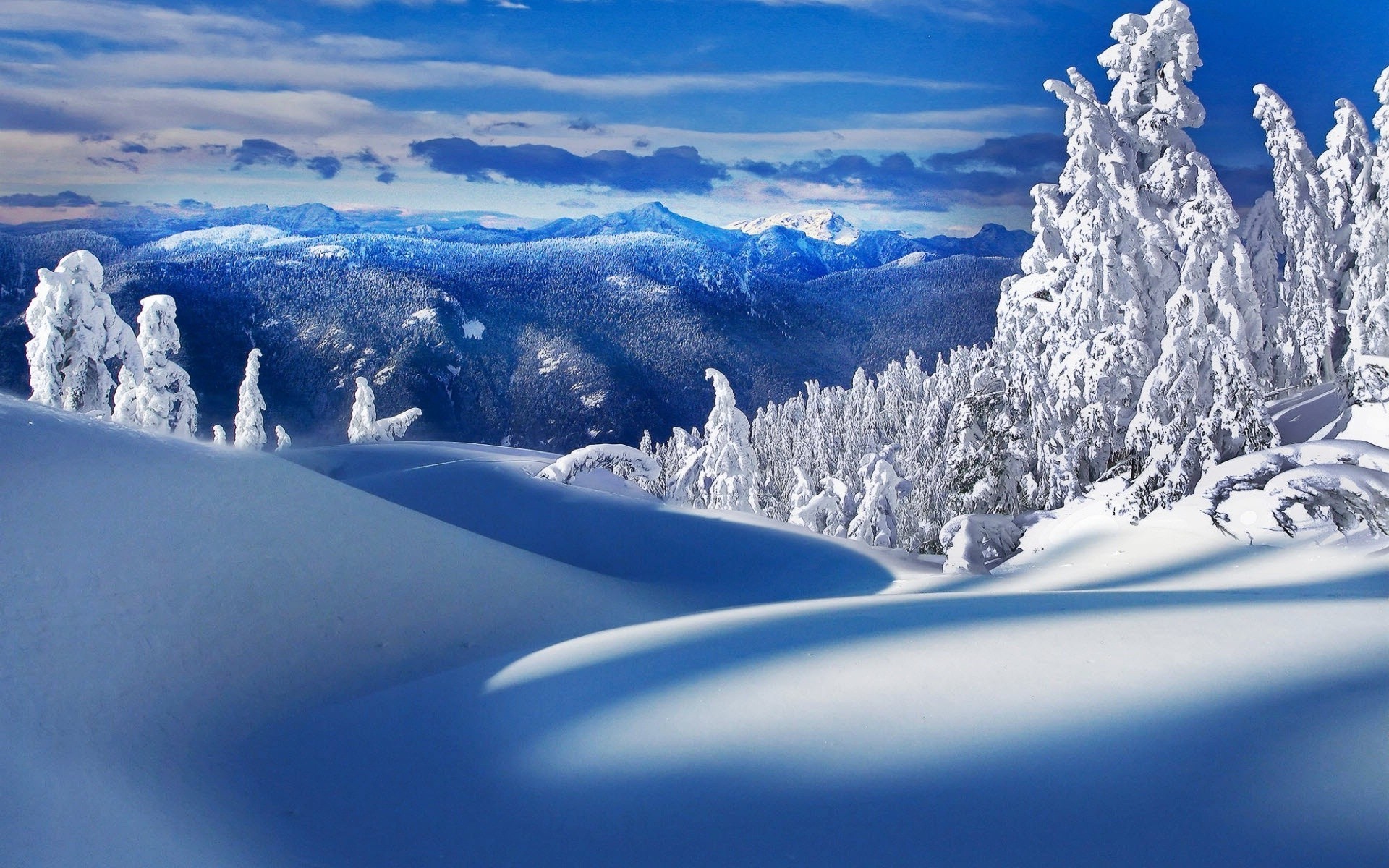 A breathtaking winter landscape with snow-covered trees and rolling hills under a bright blue sky