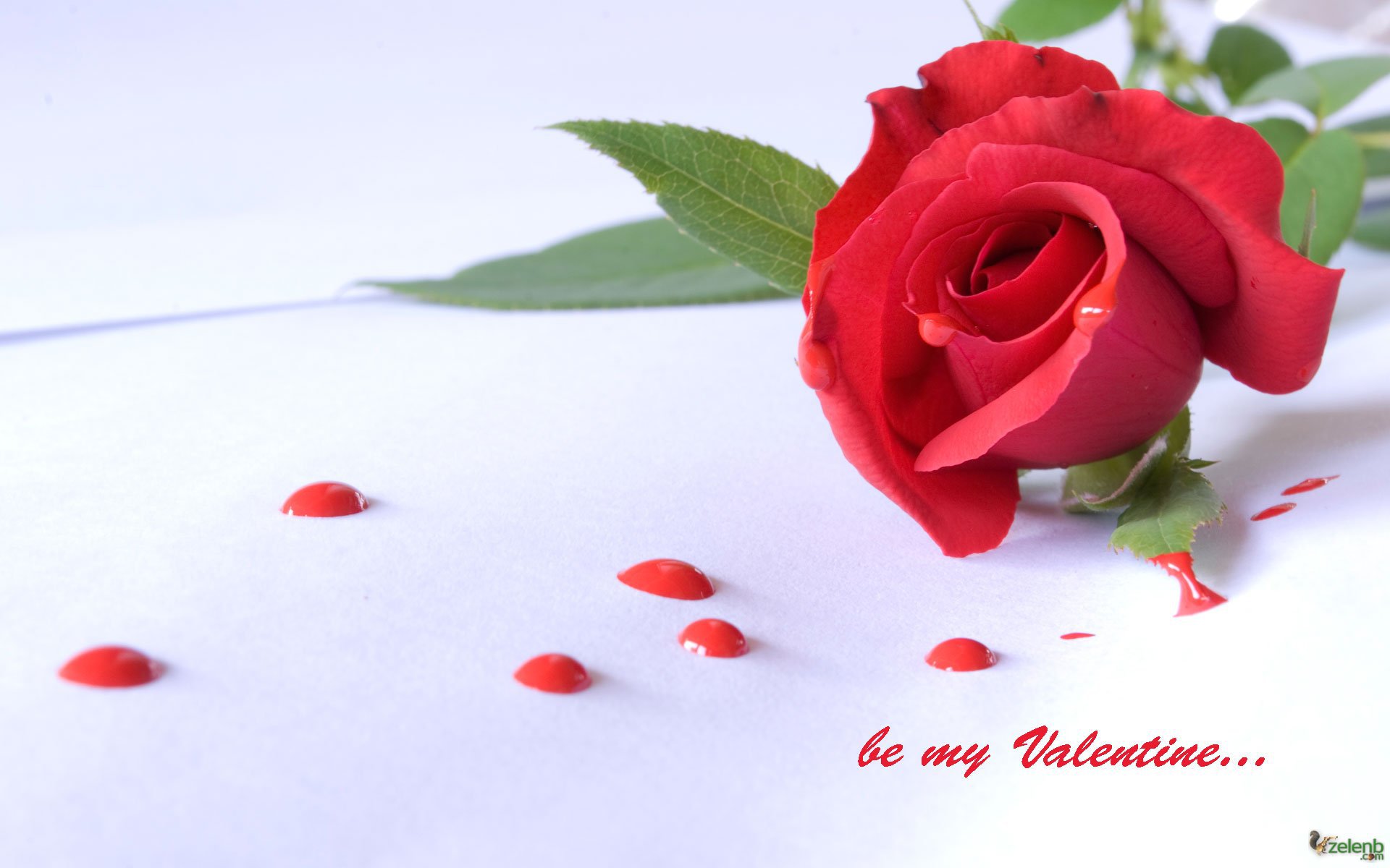 Happy Rose Day Love You HD Image