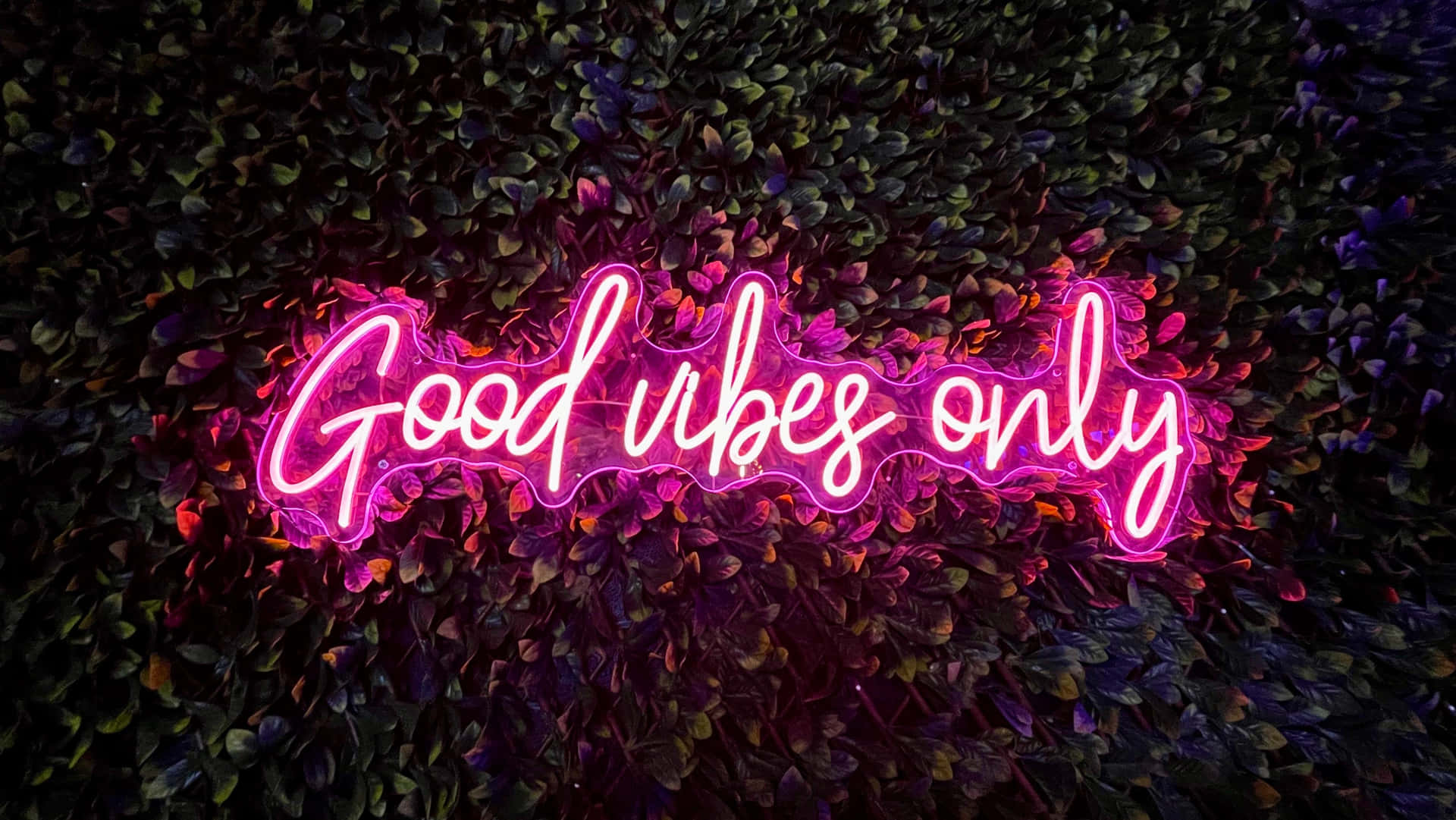 Pink Neon Aesthetic Wallpaper