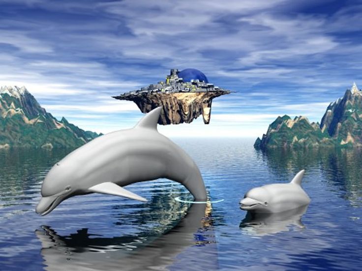 Dolphin Wallpaper Dolphins