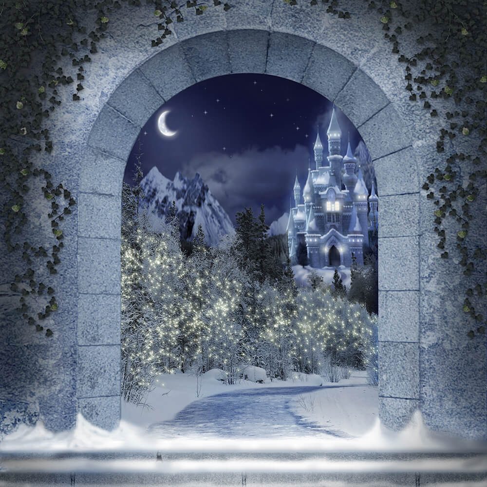 Winter Castle Through Archway Photo Backdrops And Background