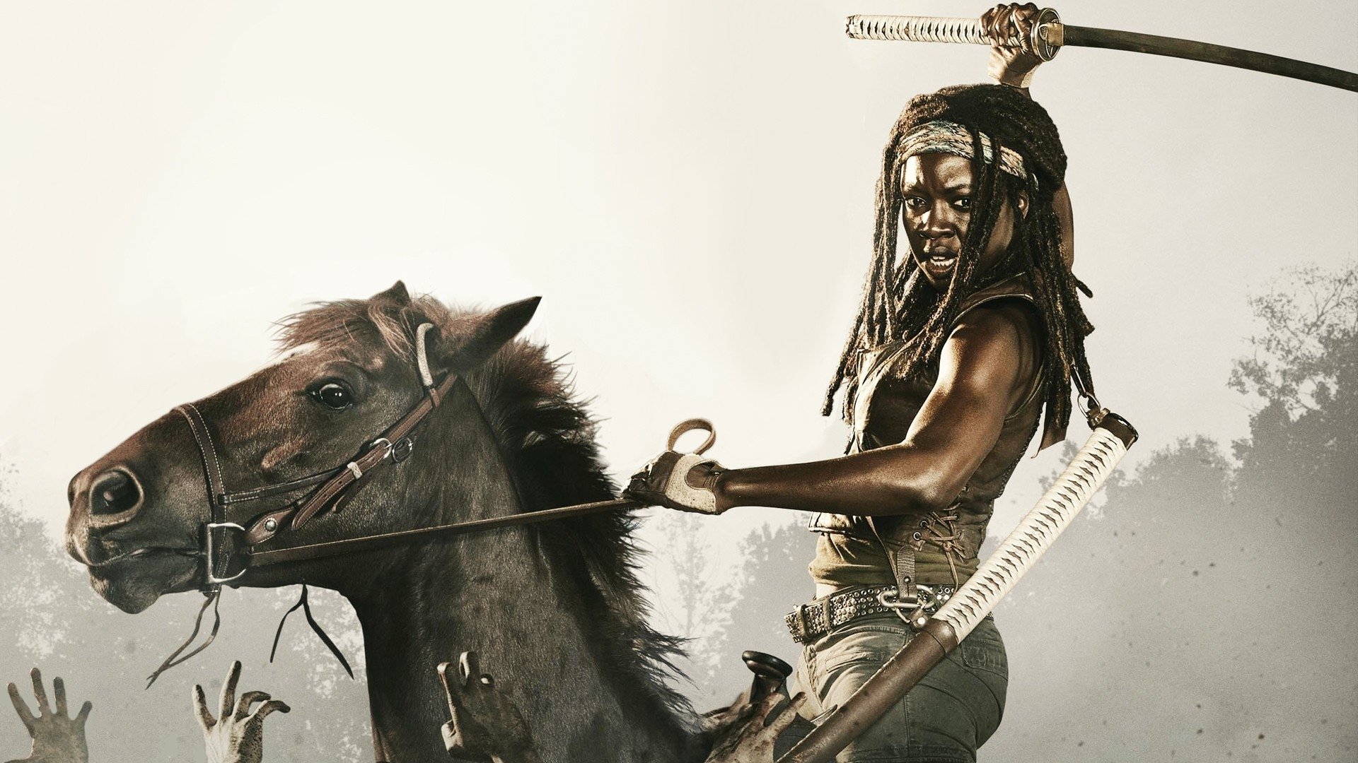 Michonne The Walking Dead HD Wallpaper Background Image