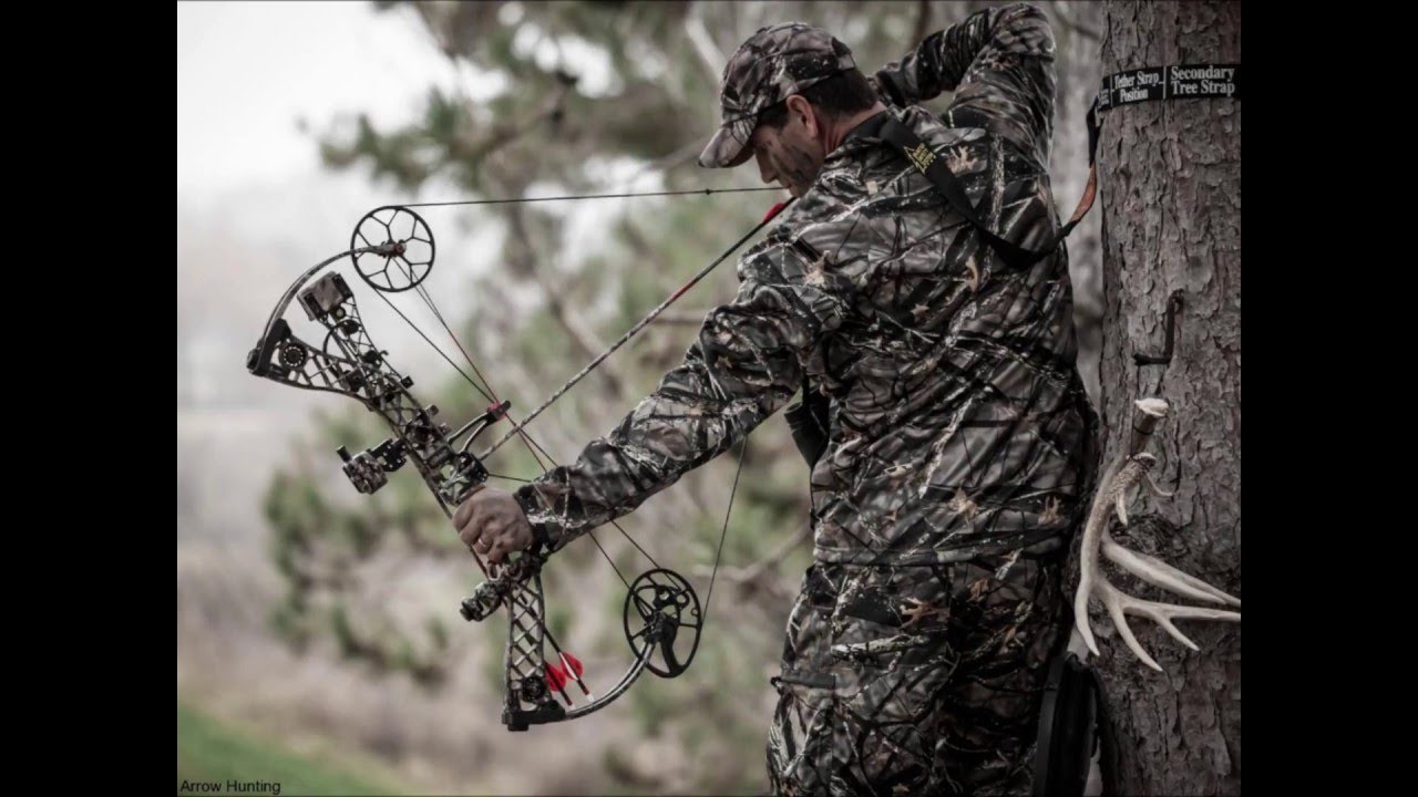 Finding Great Treestand Placement