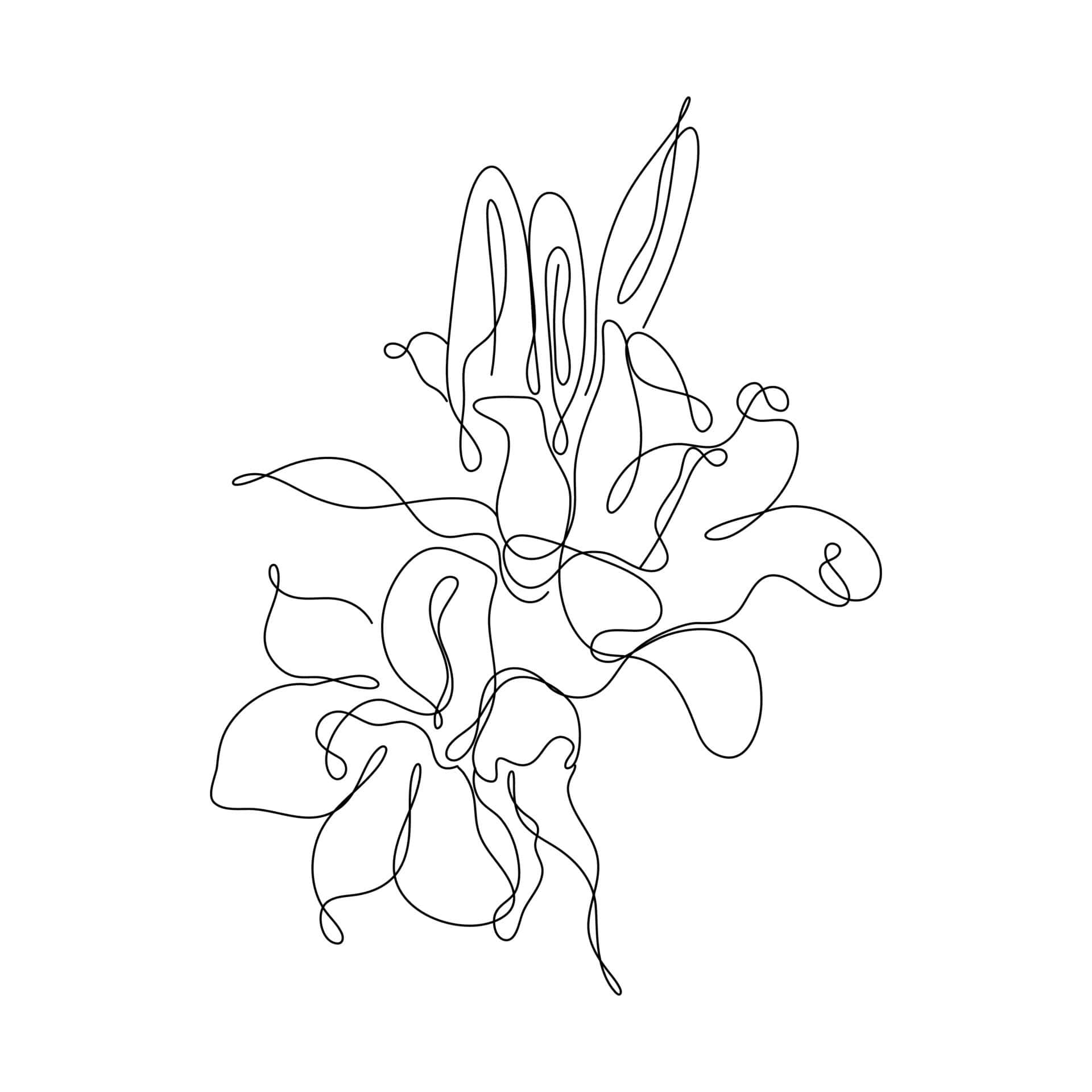 Aesthetic White Background Wallpaper