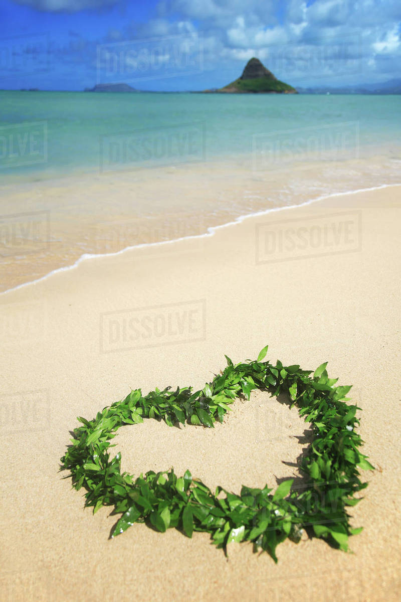 Hawaii Oahu Kualoa Heart Shaped Maile Lei On The Beach With