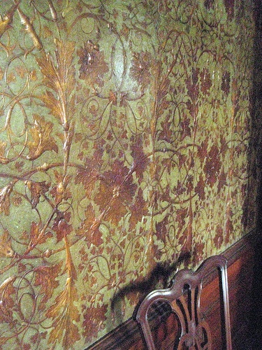 Governor S Palace Leather Wallpaper Williamsburg Va