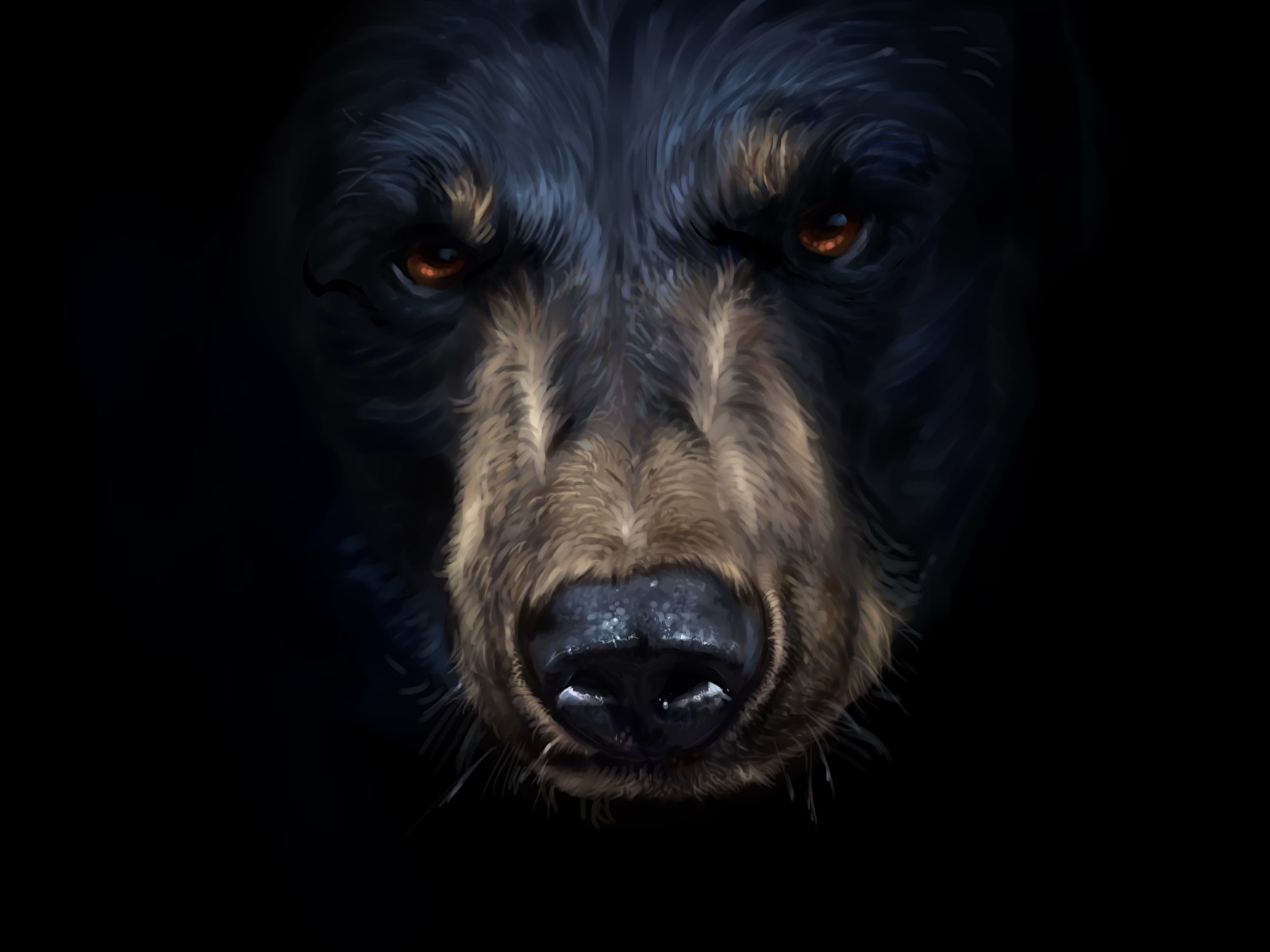 Fondos De Pantalla Oso Pardo Cerca Dibujado Hocico