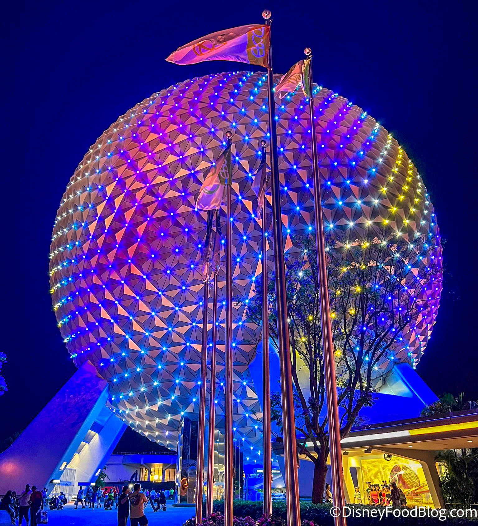Our Gift To You Disney World Wallpaper From Dfb The