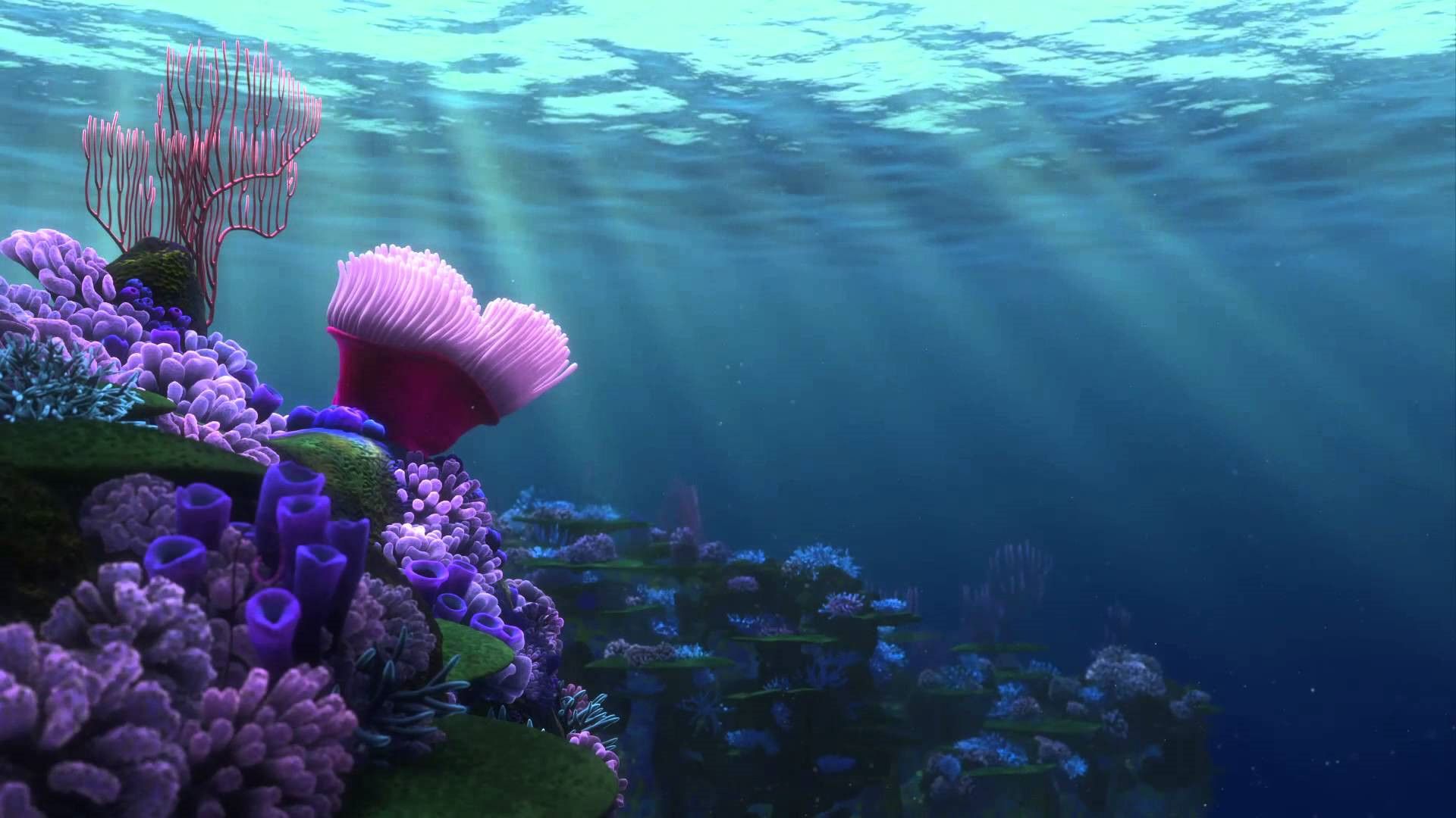 Finding Nemo Wallpaper On