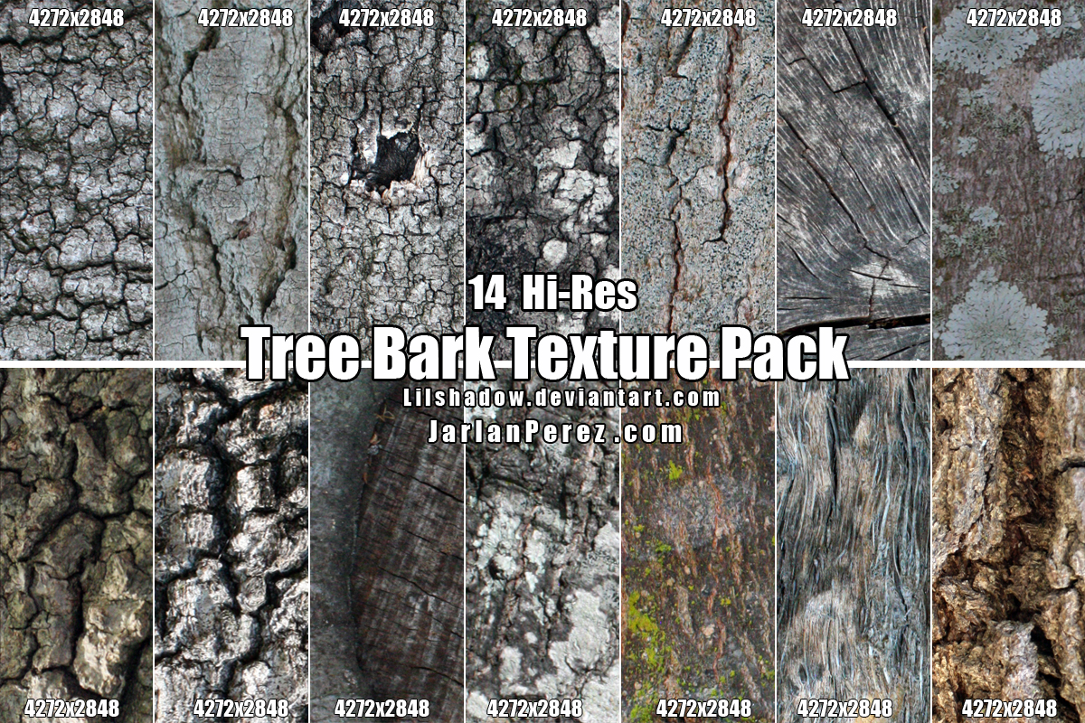 Tree Bark Texture Pack By Lilshadow Resources Stock Image Textures