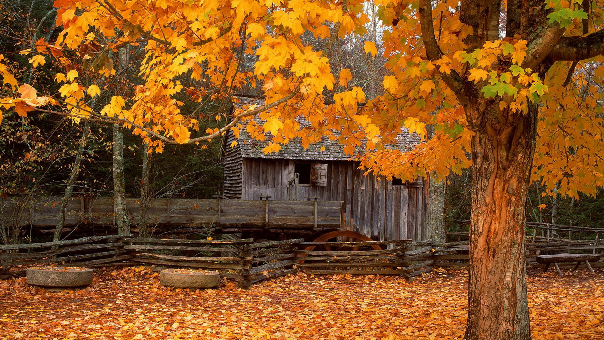 Autumn Cabin Wallpaper Wallpoper