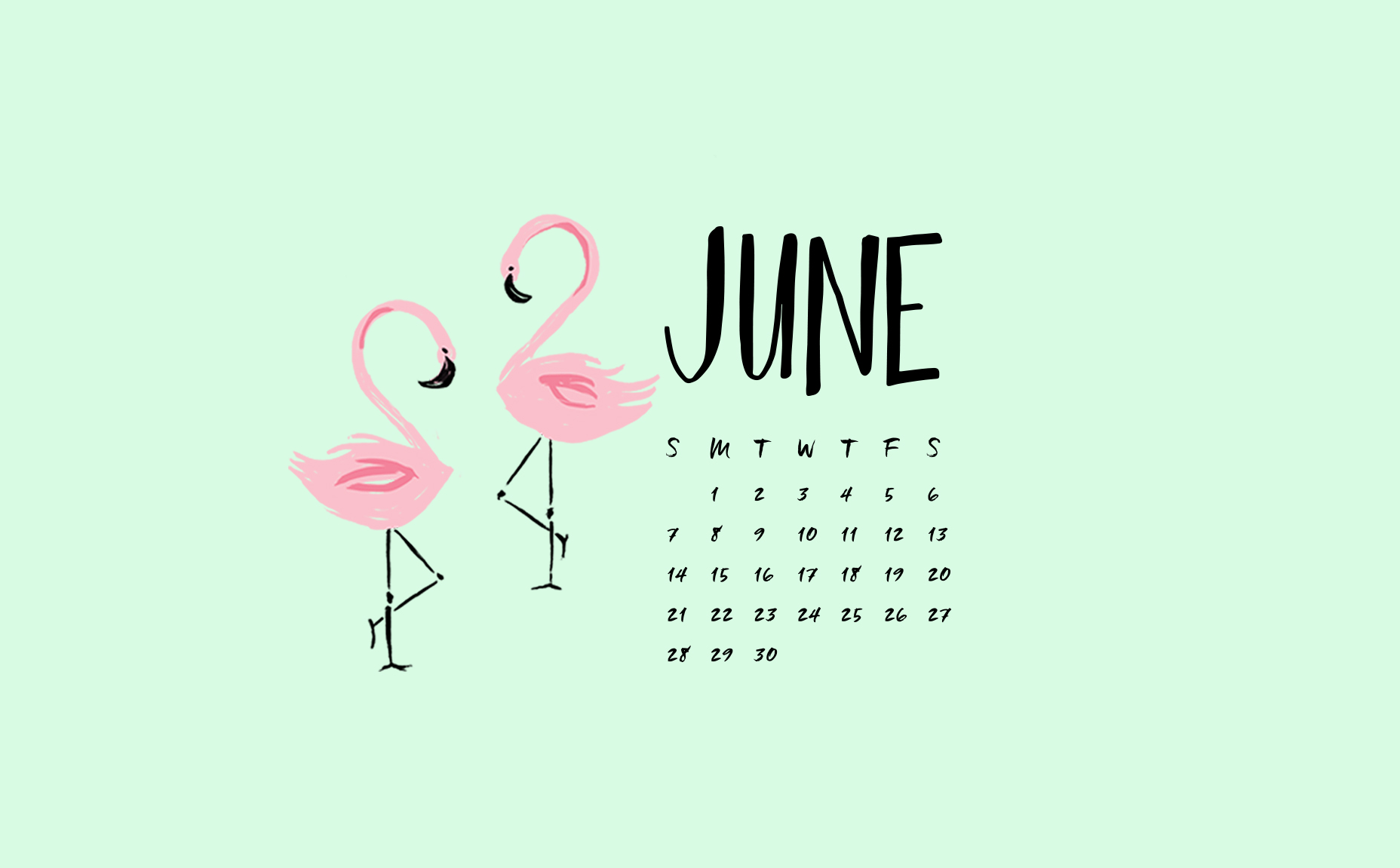 June Flamingo Digital Wallpaper