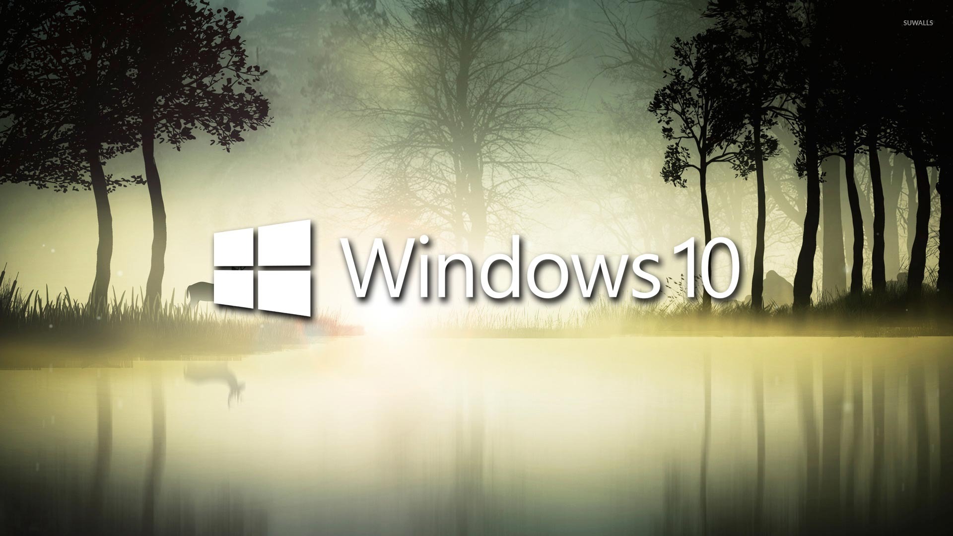 Windows In The Foggy Forest Wallpaper Puter