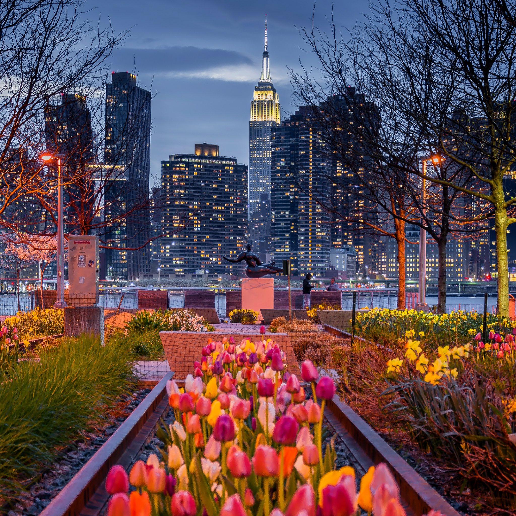 Noel Y Calingasan NYC on New York in bloom Whats