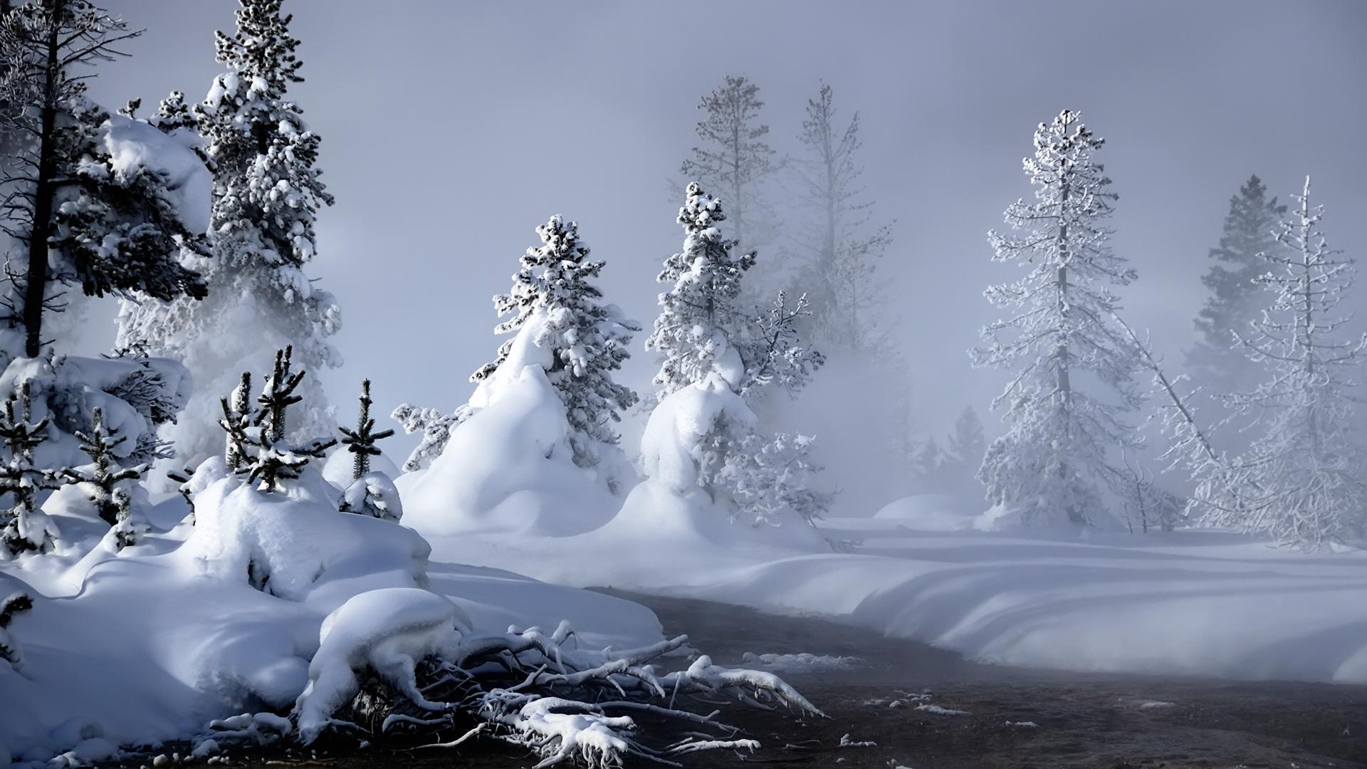 Winter Landscape Widescreen Wallpaper Snow Schnee