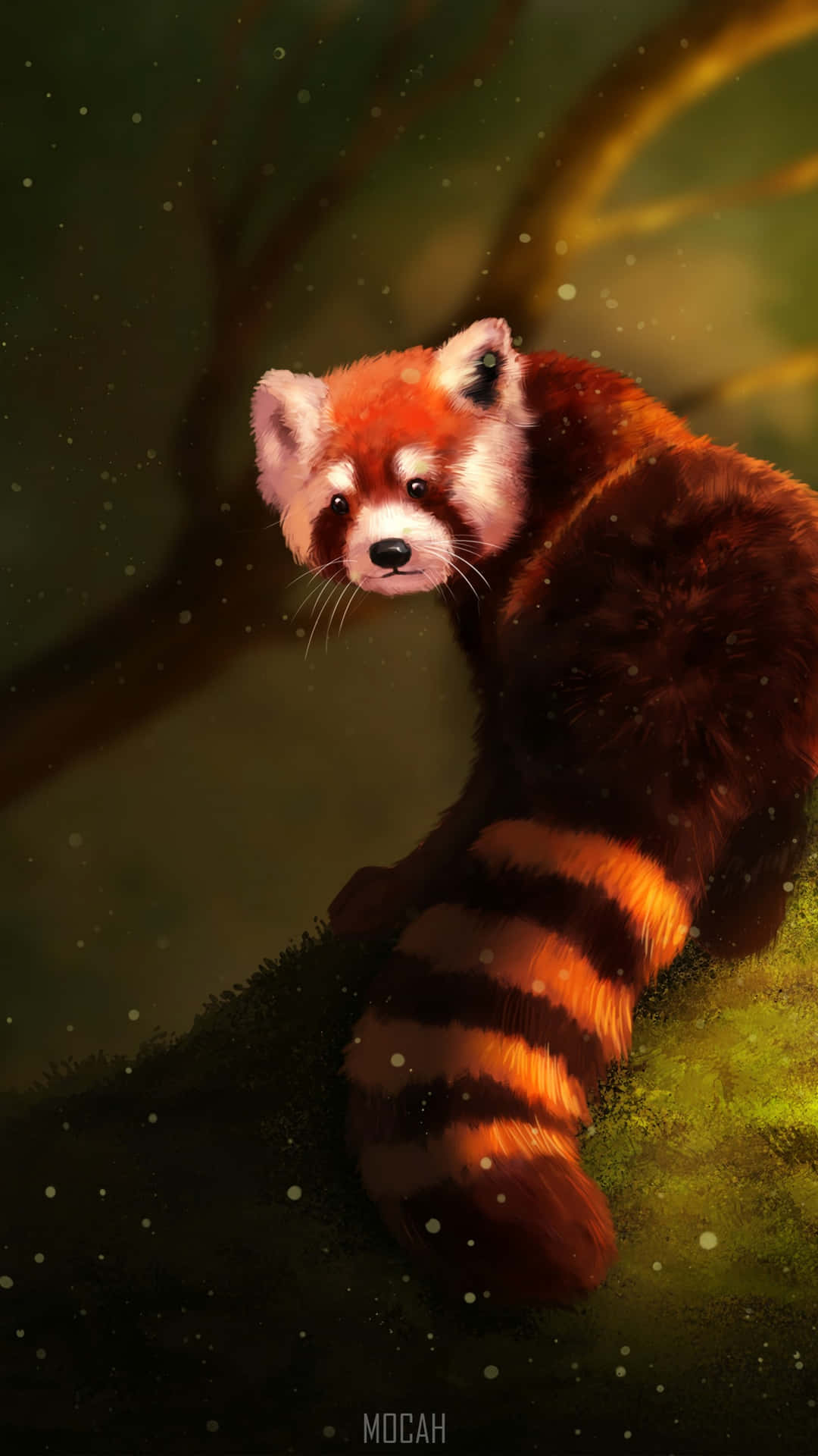 Cute Red Panda Wallpaper