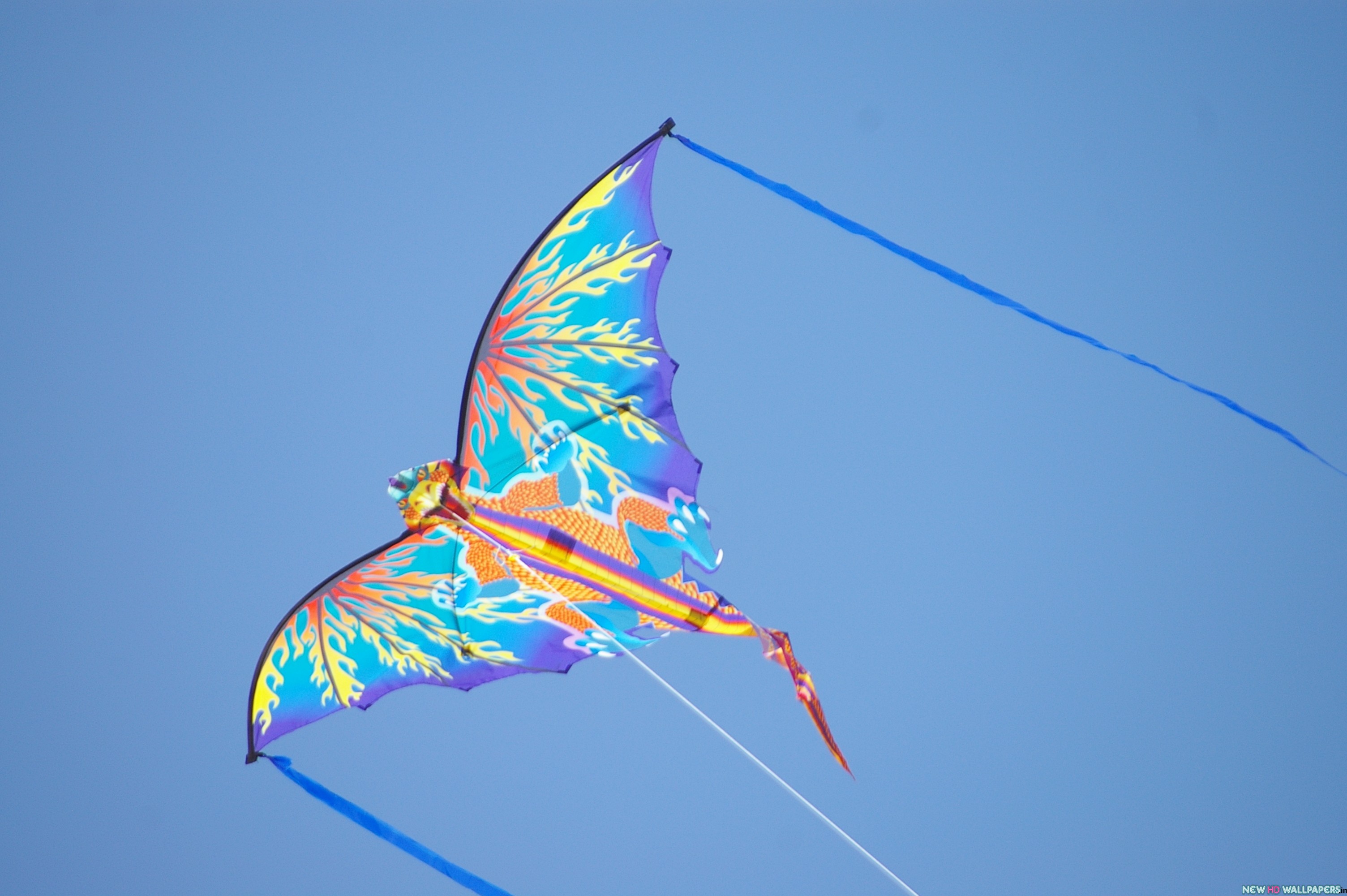 Desktop Wallpaper Kite HD Image New
