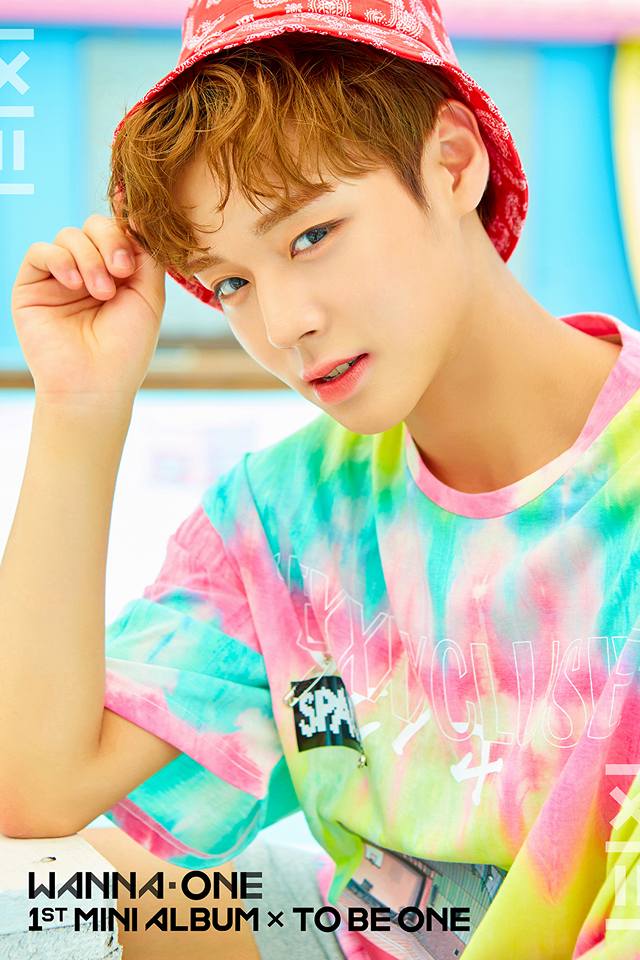 Update Wanna One Releases More Individual Teasers In