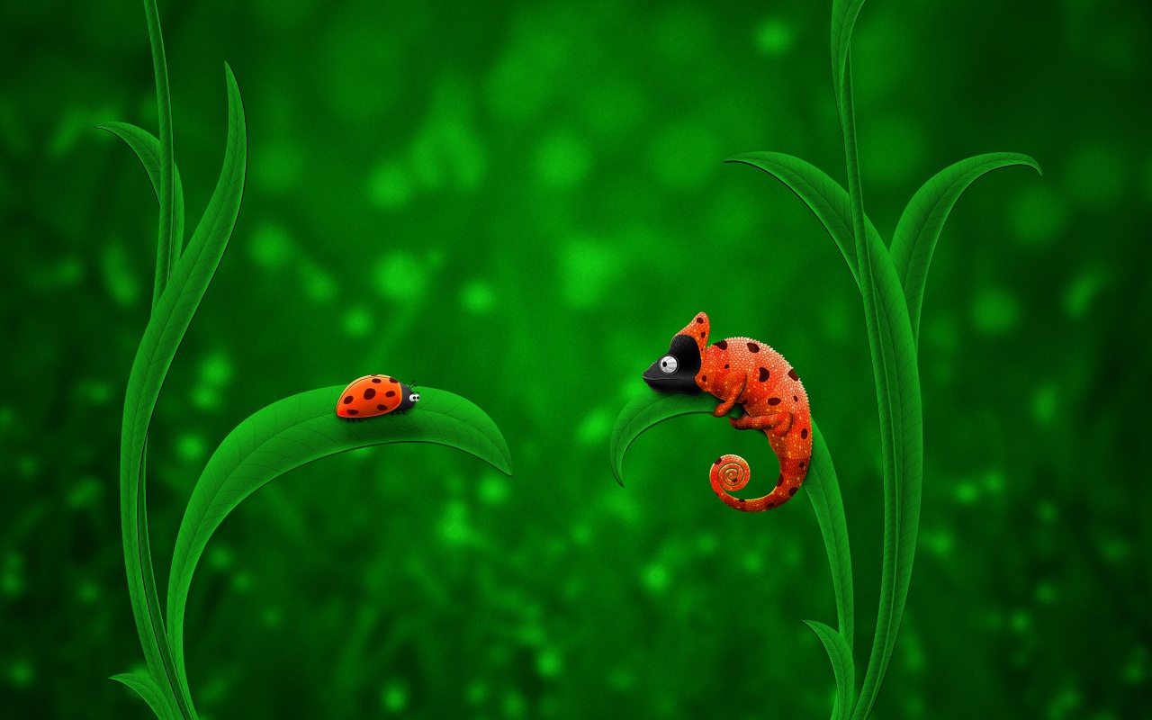 Ladybug Chameleon Wallpaper HD