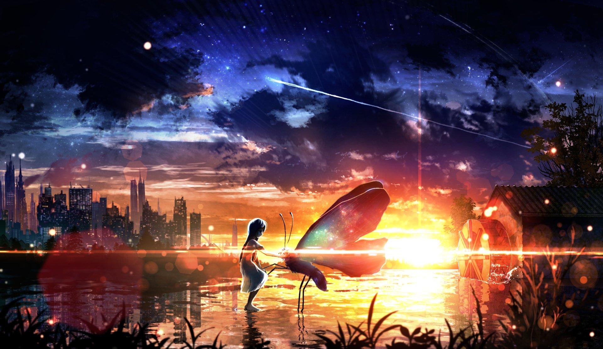 Sunset Starry Sky Butterfly Anime Wallpaper