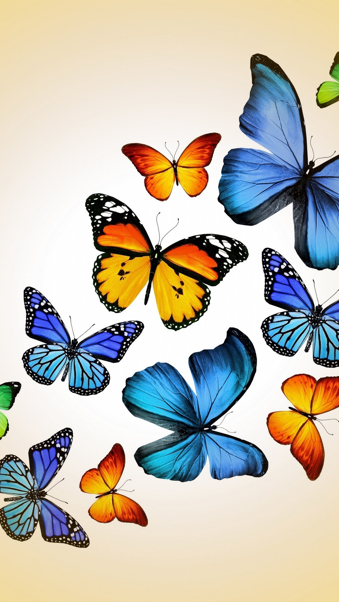 Cute Butterfly Android Wallpaper Android Wallpapers