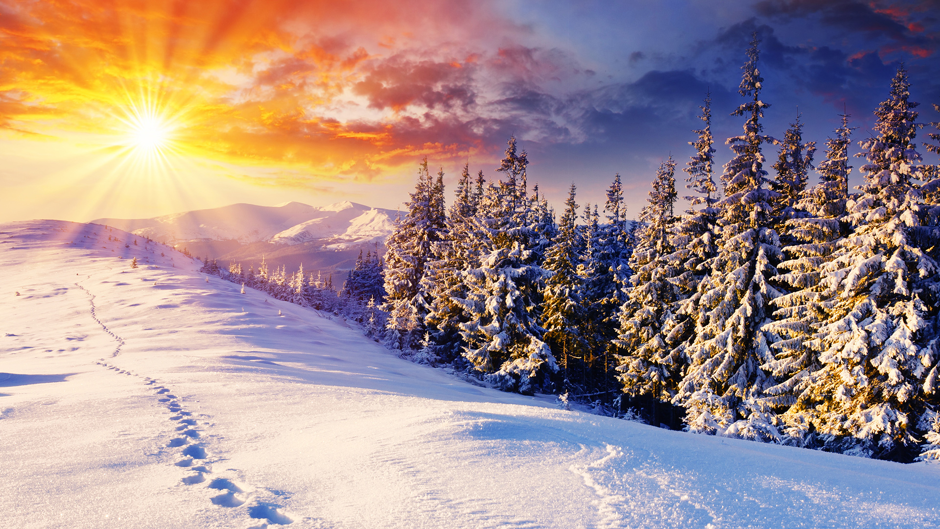 A breathtaking winter landscape at sunset, featuring a snow-covered mountain slope with footprints leading towards a dense forest of snow-dusted pine trees, bathed in the warm glow of the setting sun
