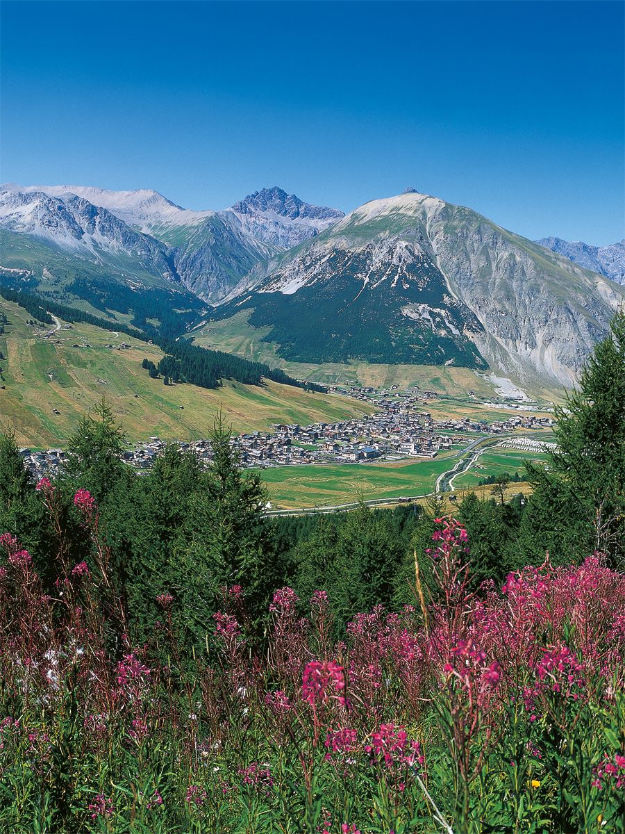 Paesaggio Natura Livigno Alpi Landscape Nature Alps