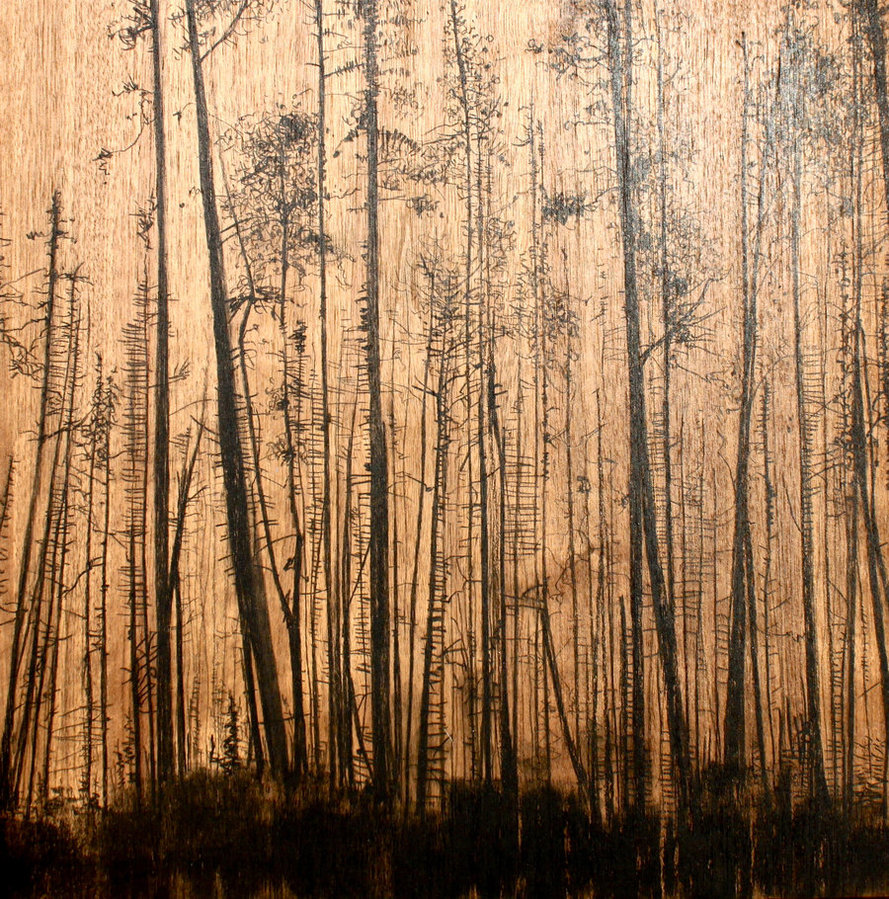Burnt Tree Series Walnut Wood By Sharlena
