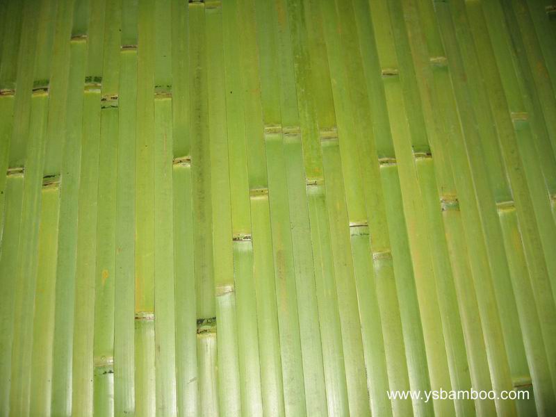 Bamboo Print Pattern Wallpaper Ys17cpu Manufacturer From China