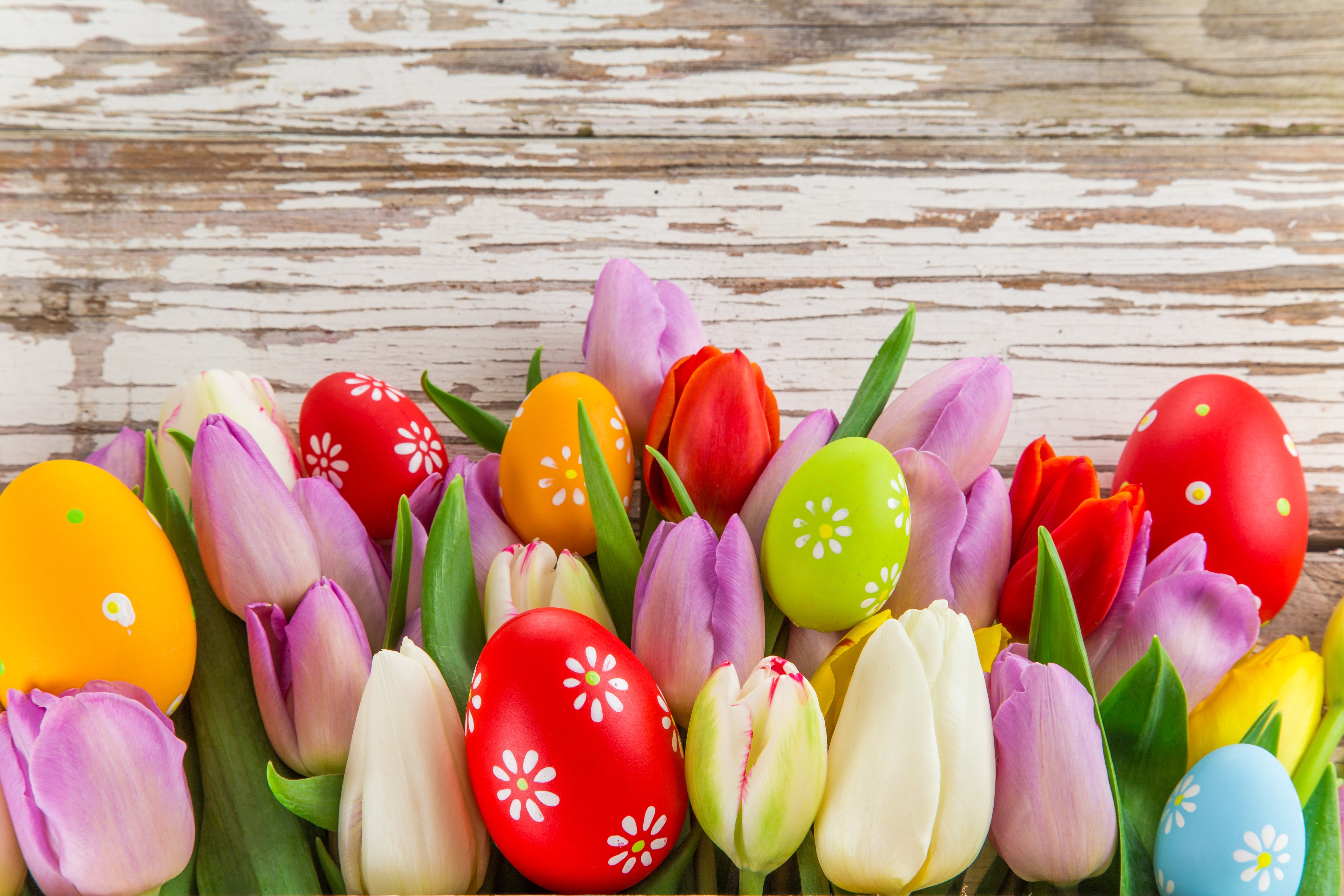 Free Download Easter Backgrounds Download Free 6650x4434 For Your 